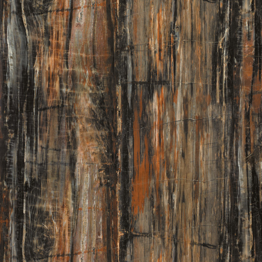 3474-petrified-wood